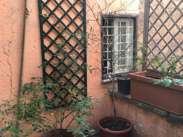 appartamento in affitto a roma piazza pasquino