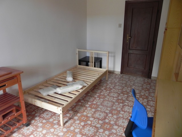 posti letto in affitto a pisa piazzale sicilia 12