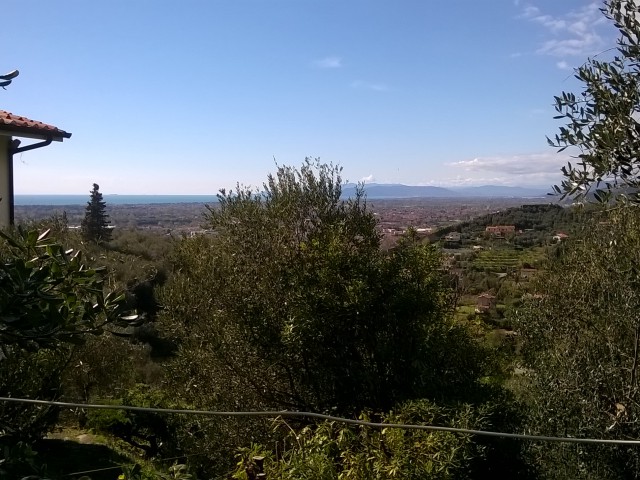 terreno in vendita a pietrasanta via per capezzano