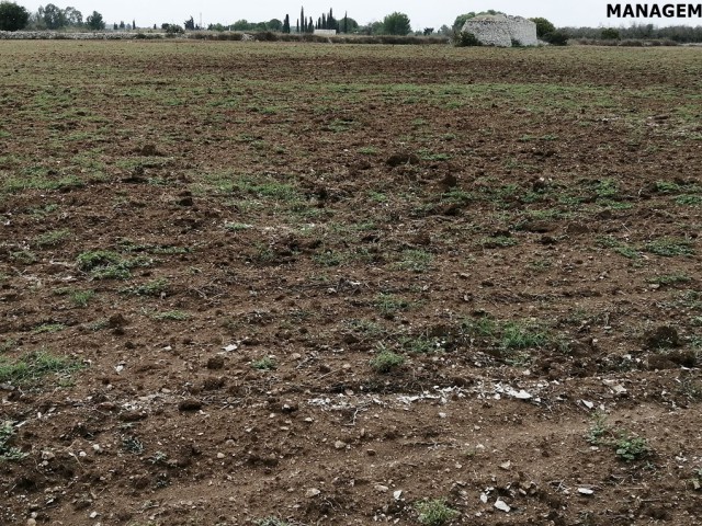 terreno in vendita a corigliano d`otranto