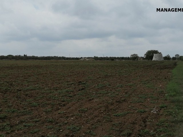 terreno in vendita a corigliano d`otranto