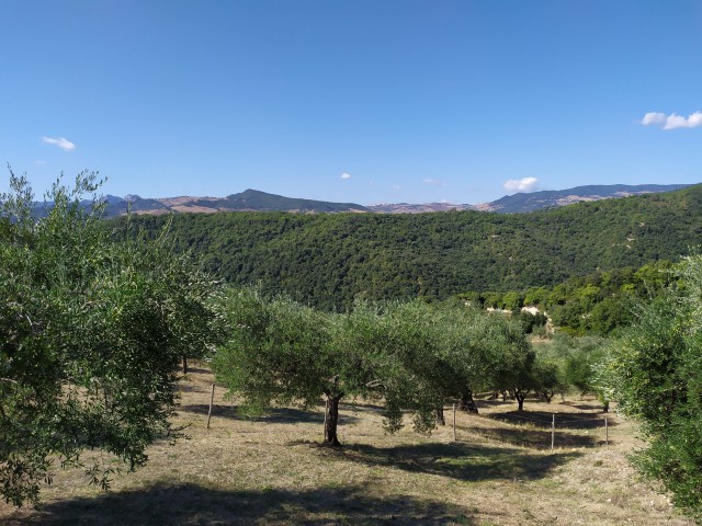 azienda agricola in vendita a tricarico contrada mantenera