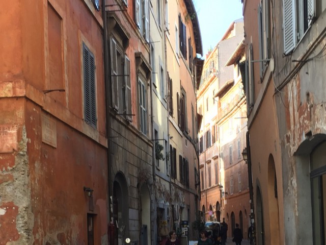 negozio in affitto a roma piazza navona