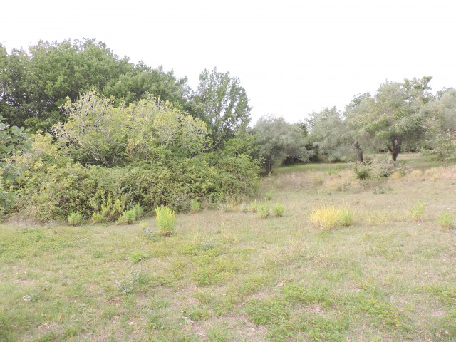 terreno in vendita a carinola casanova