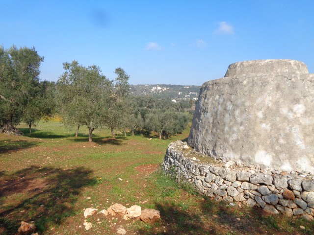 rustico casale corte in vendita ad ostuni sp17