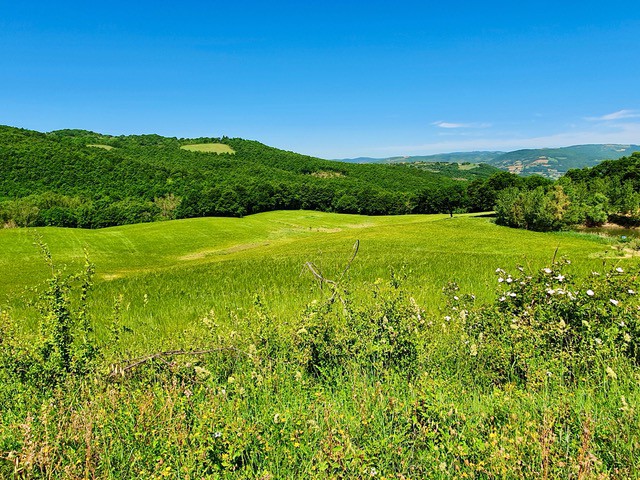 Terreno in Vendita a Todi