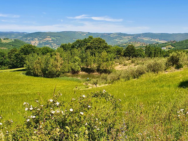 terreno in vendita a todi