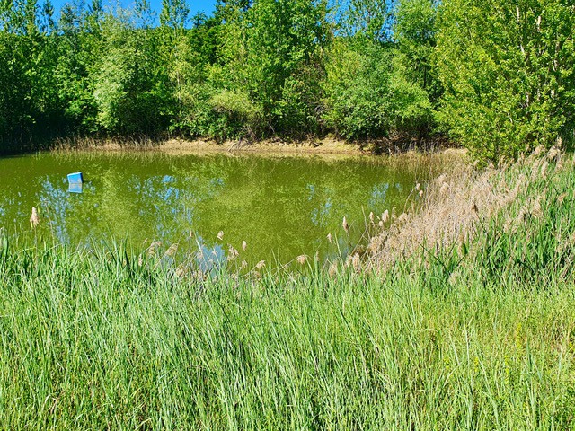 terreno in vendita a todi