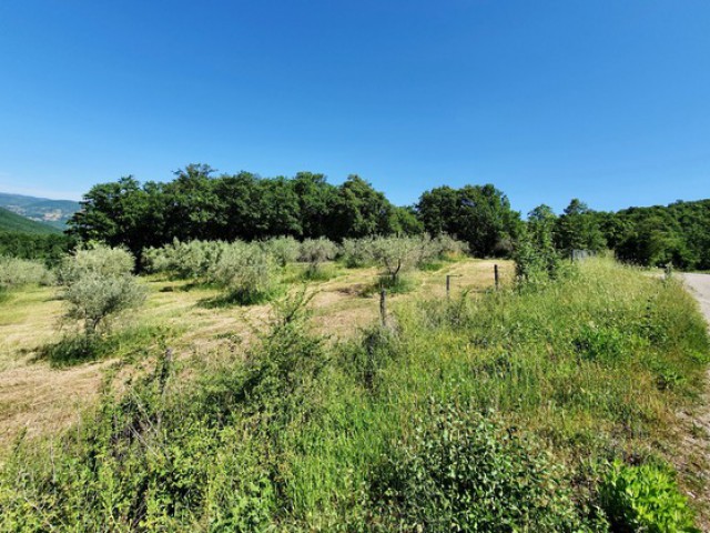 terreno in vendita a todi