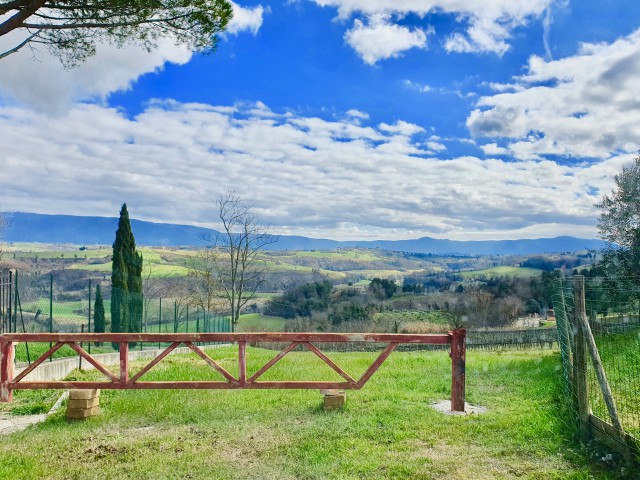 Terreno in Vendita a Todi