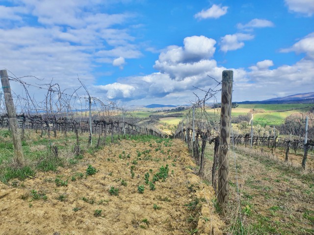 terreno in vendita a todi