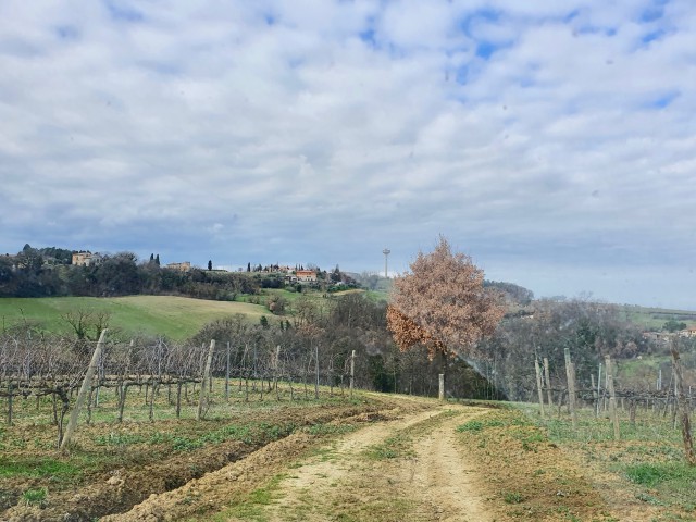 terreno in vendita a todi