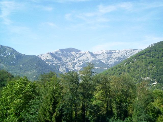 appartamento in vendita a supino