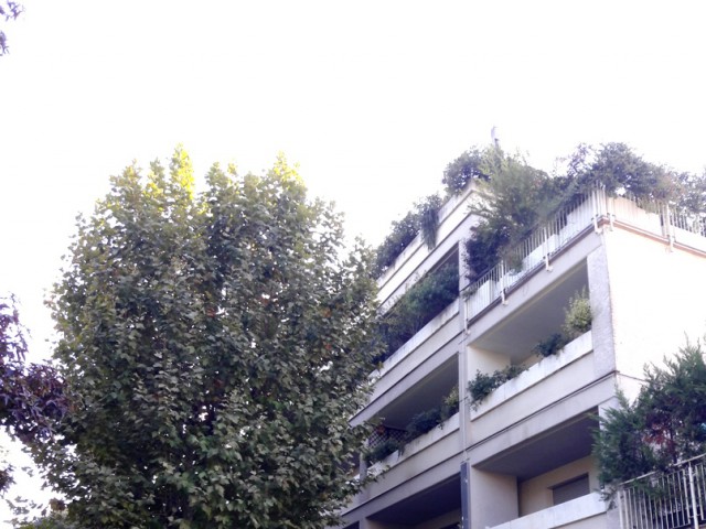 Appartamento in Vendita a Milano via Carlo Bellerio 44 Affori