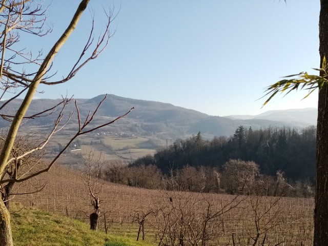 rustico casale corte in vendita a travo