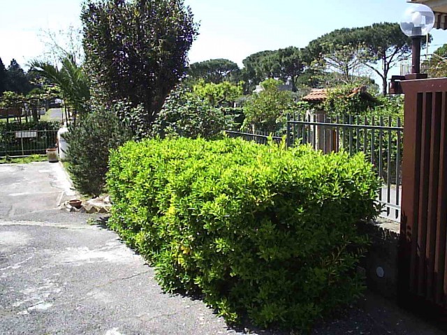 villa in vendita a fiumicino via carlo anfosso 12