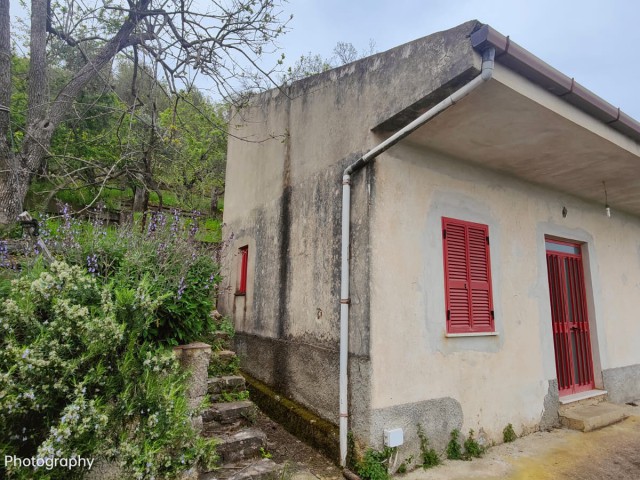 terreno agricolo in vendita ad ascea via sp269