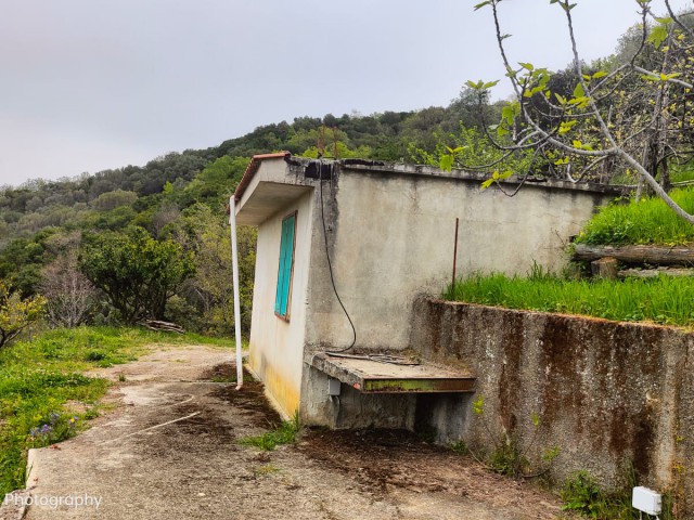 terreno agricolo in vendita ad ascea via sp269