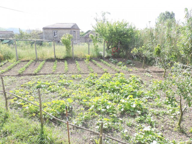 terreno in vendita a sessa aurunca corbara