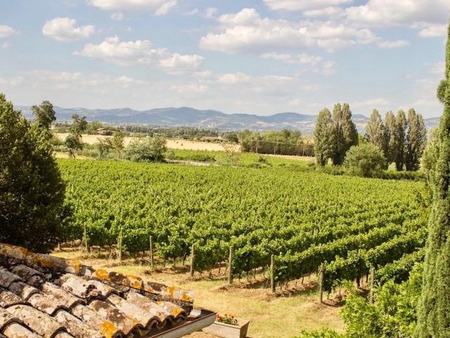 rustico casale corte in vendita a bevagna