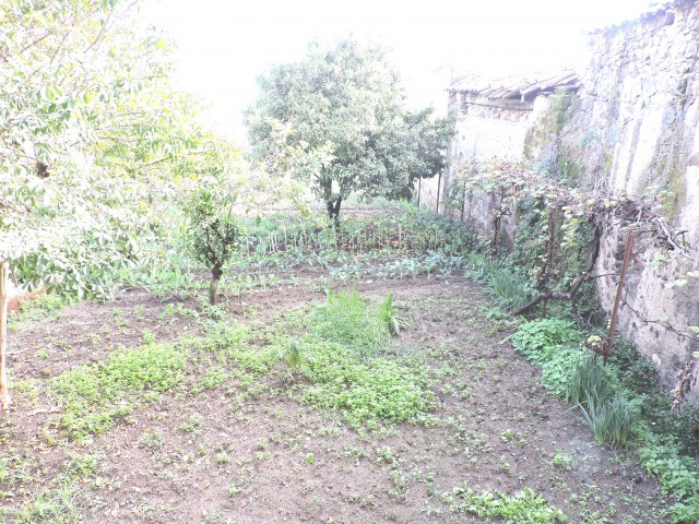 casa semindipendente in vendita a teano casamostra