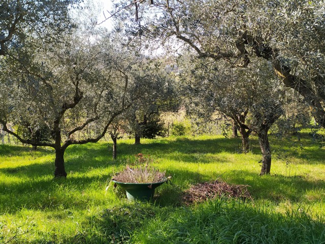 casa indipendente in vendita a ferentino