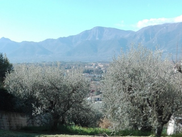 casa indipendente in vendita a ferentino