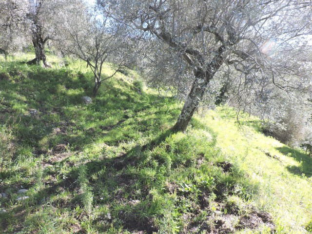 terreno in vendita a sessa aurunca ponte