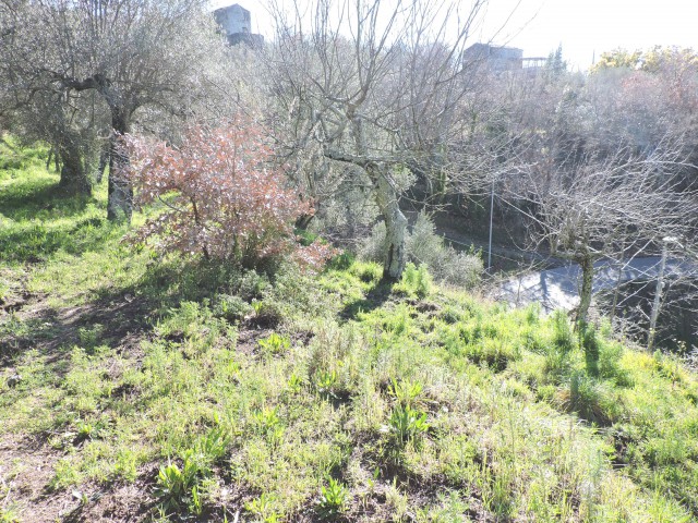 terreno in vendita a sessa aurunca ponte