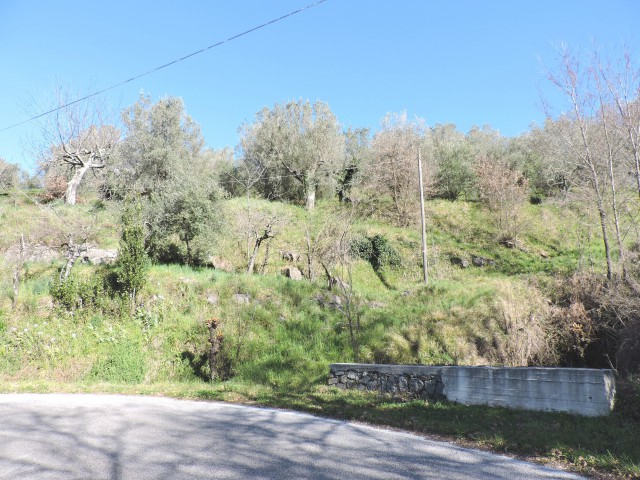 terreno in vendita a sessa aurunca ponte