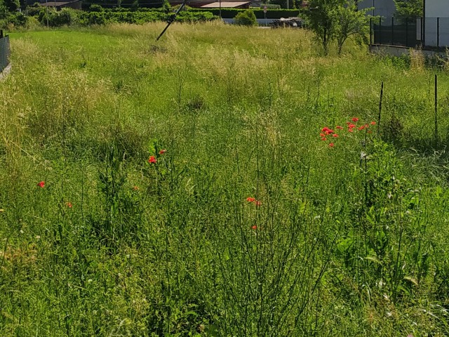 rustico casale corte in vendita a ferentino