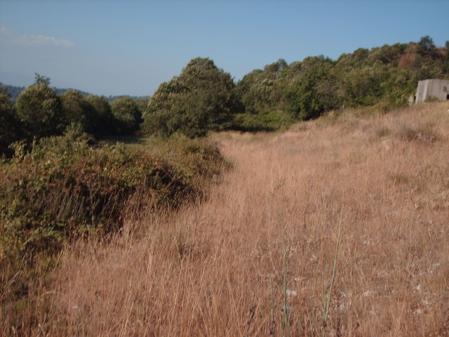 terreno agricolo in vendita a casola di caserta località rapugliano