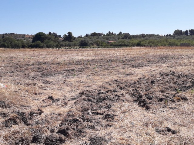 terreno agricolo in vendita a pietraperzia