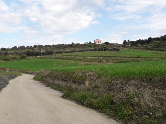 terreno agricolo in vendita a pietraperzia