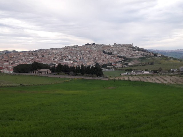 terreno agricolo in vendita a pietraperzia