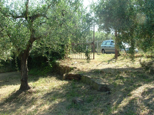 terreno in vendita ad albano laziale via cancelliera