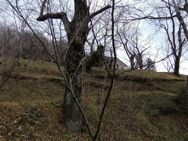 terreno agricolo in vendita a montecorvino rovella