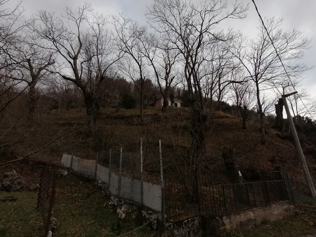 terreno agricolo in vendita a montecorvino rovella