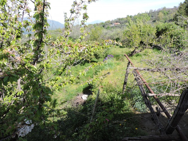 casa indipendente in vendita a sessa aurunca corigliano