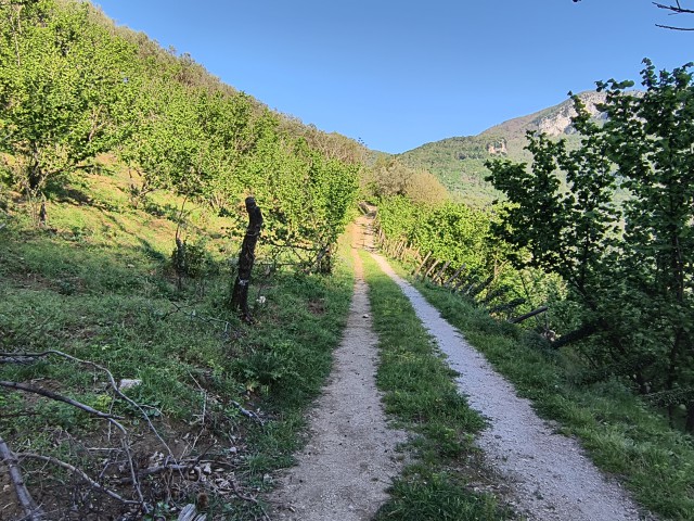 Terreno Agricolo in Vendita a Giffoni Valle Piana