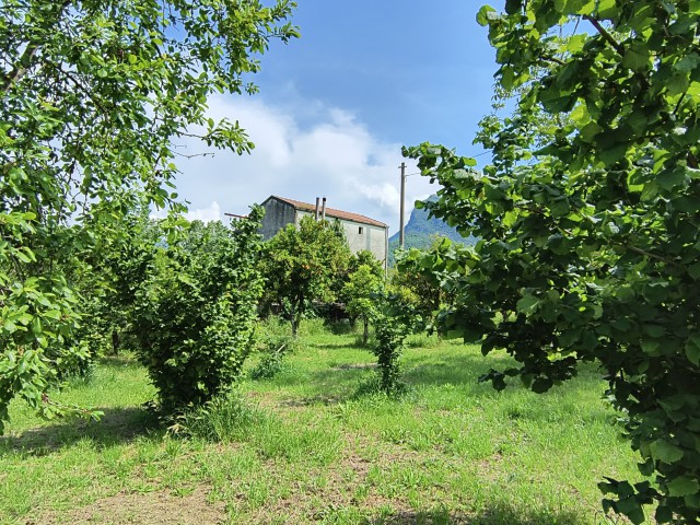 rustico casale corte in vendita a giffoni valle piana