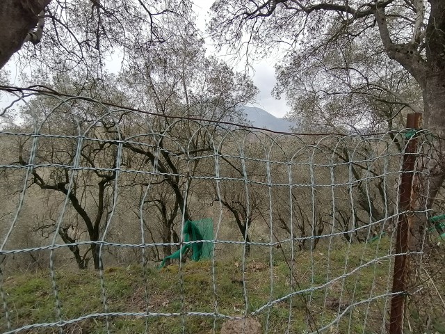 terreno agricolo in vendita a giffoni sei casali