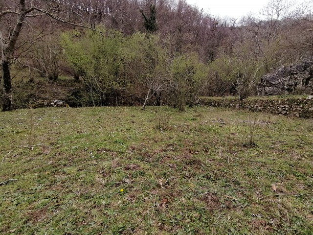 terreno agricolo in vendita a giffoni sei casali