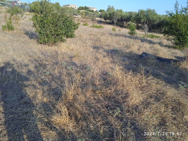 Terreno in Vendita ad Agrigento Contrada Cugno Vela Periferia