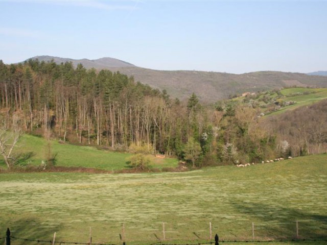 rustico casale corte in affitto a vaglia via san jacopo