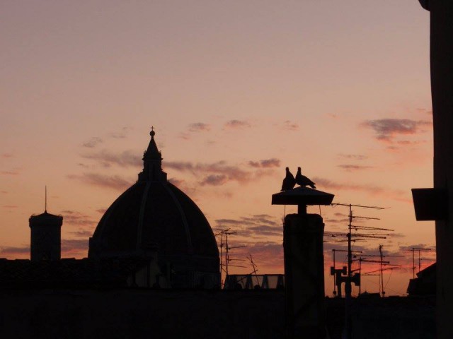 appartamento in affitto a firenze via dei pepi