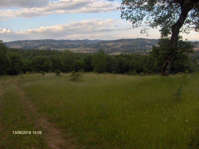 terreno in vendita a nusco