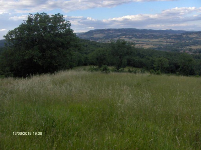 terreno in vendita a nusco