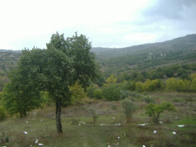 terreno in vendita a cassano irpino