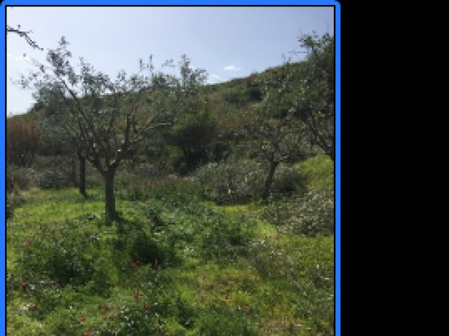 appartamento in vendita a montebello ionico contrada tegani